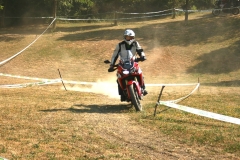 IMG_1192-Copy