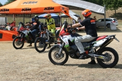 IMG_1389-Copy